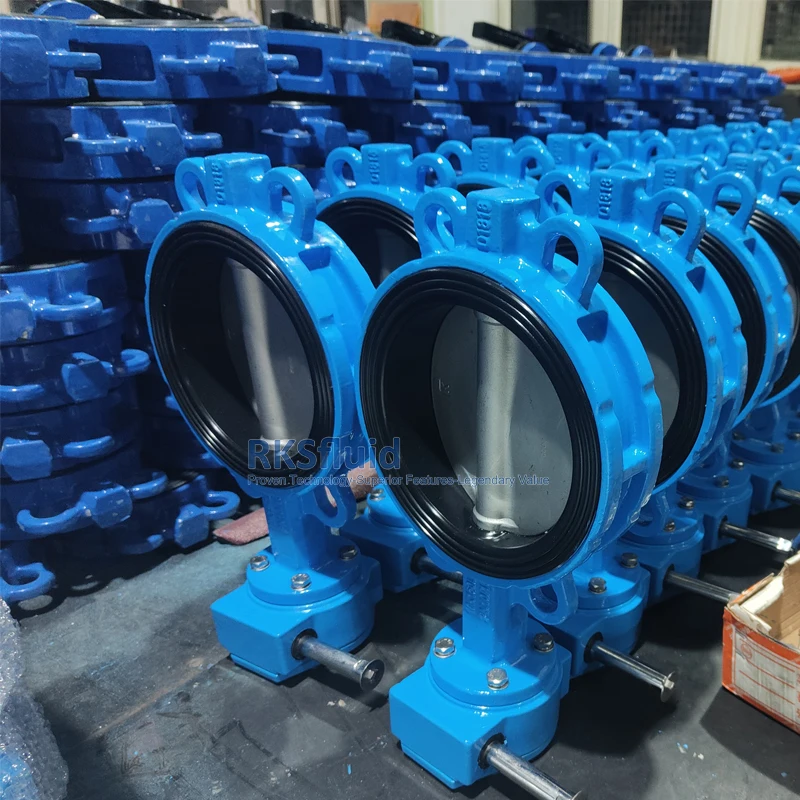 Butterfly Valve Manufacturer DIN EPDM Ductile iron CF8M Resilient Seat Butterfly Valve customizable