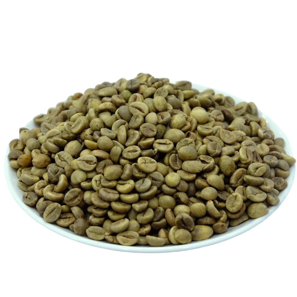 Factory Abrica Viet Nam Raw Whole Bean Green Coffee Arabica Coffee