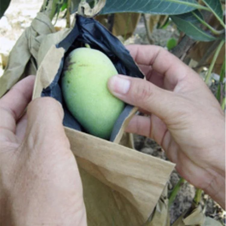 Hot selling high quality fruit cover guava bag mango fruit cover bag
