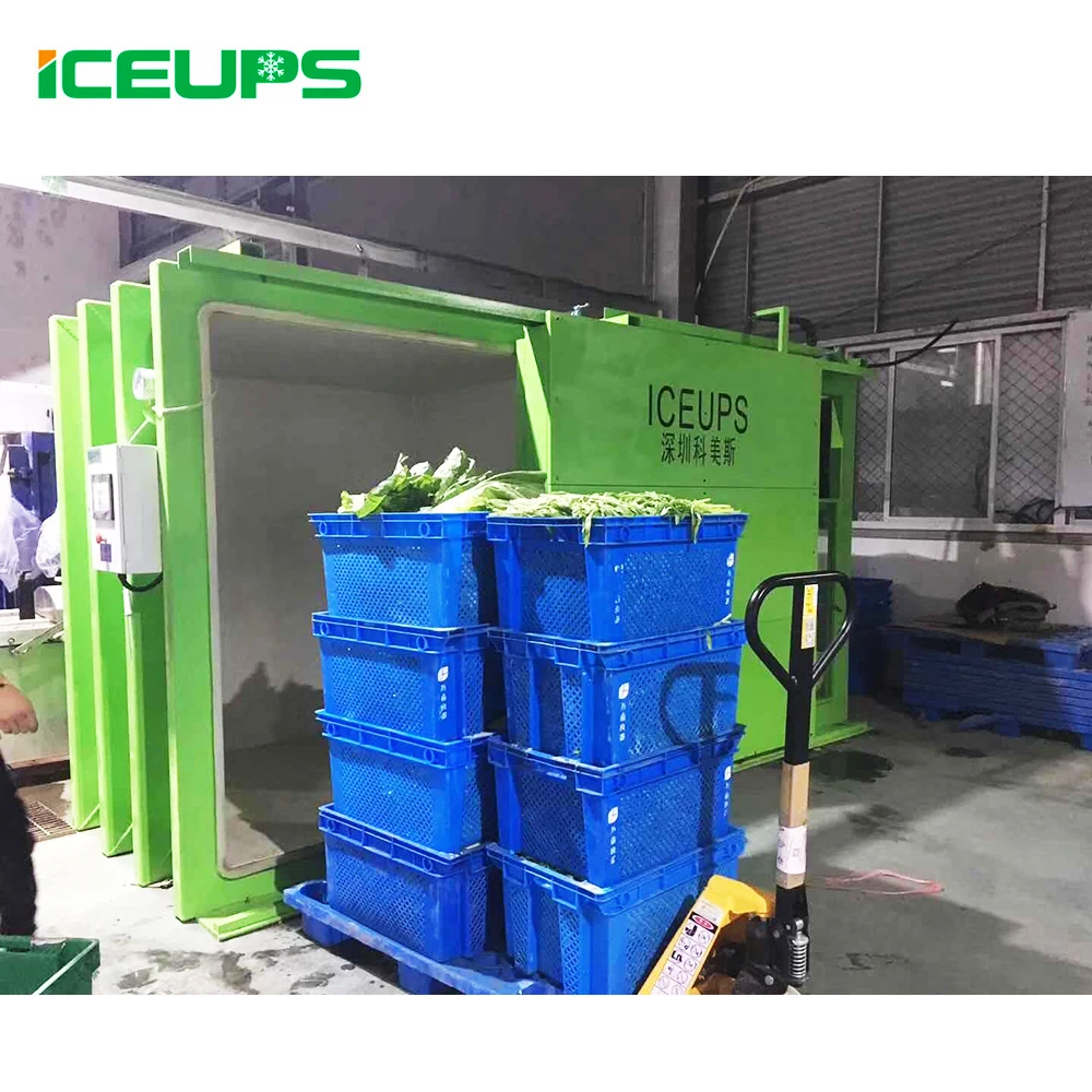 vegetable cooler/vacuum cooling machine/vacuum fruit cooler
