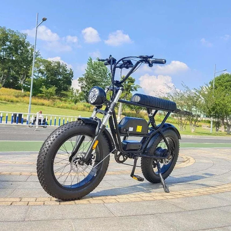 ANLOCHI powerful fast speed long range 48V 1000 watt 24Ah double battery fat tire electric chopper bike