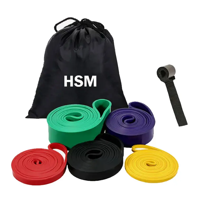 2024 Hot Sale Custom Logo pull up workout Exercise Bands Gym Latex Elastic Bands Fitness Power Assist long Resistance Band set