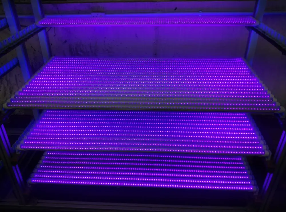 365nm 395nm UV light T8 integrated led tube UVA lamp 600mm 1200mm 1500mm uv curing