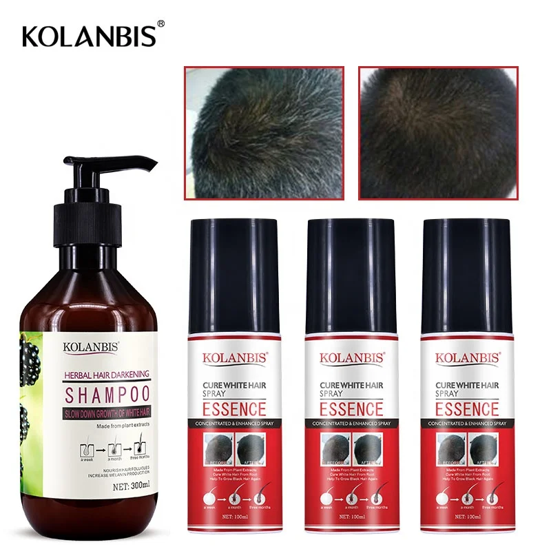 KOLANBIS Wholesale Morus Alba Black Hair Color Shampoo Products For Anti White And Gray Private