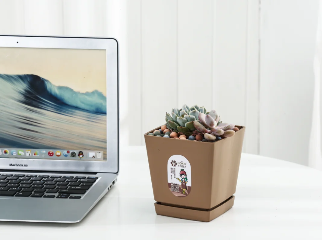 decorative plant pots indoor rectangular flower pot cheap