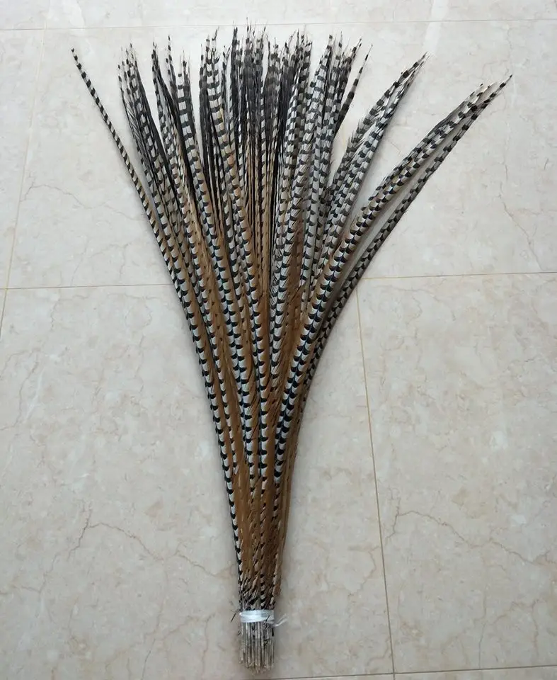 Wholesale natural 10-160cm Reeves Pheasant Tail Feather