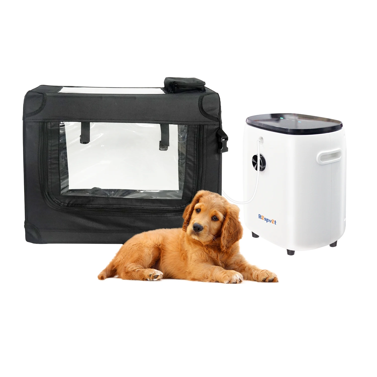oxygen incubators for dogs small animal oxygen cage