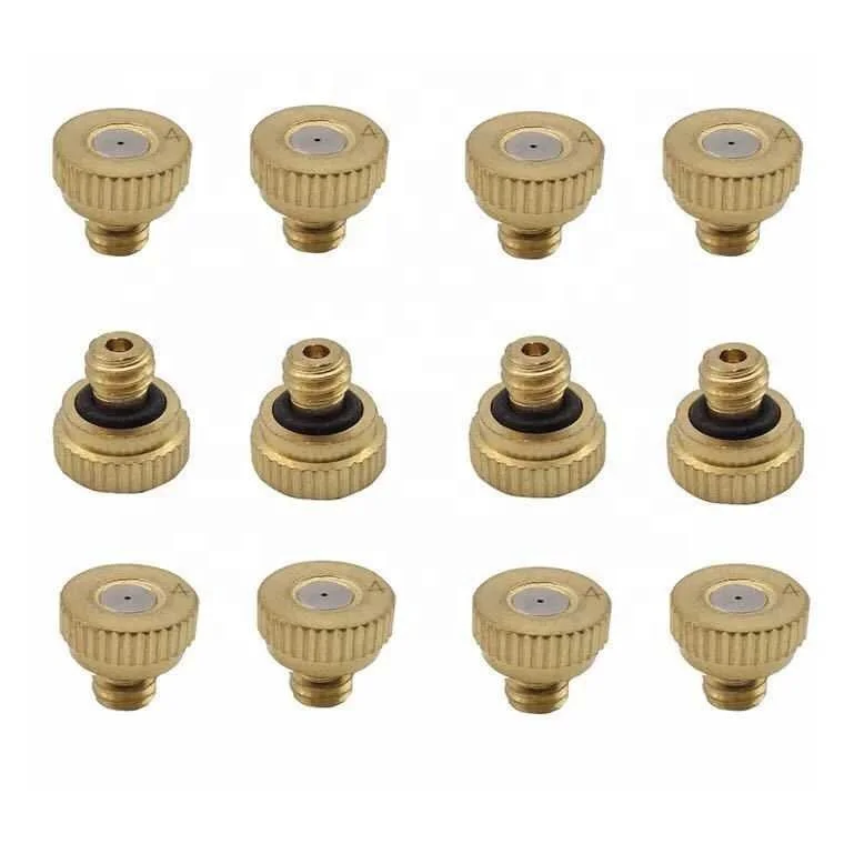 10Pcs 0.2mm Garden Sprinkler Spray Nozzle Brass Misting Garden Hose Connector Sprinkler for Irrigation System
