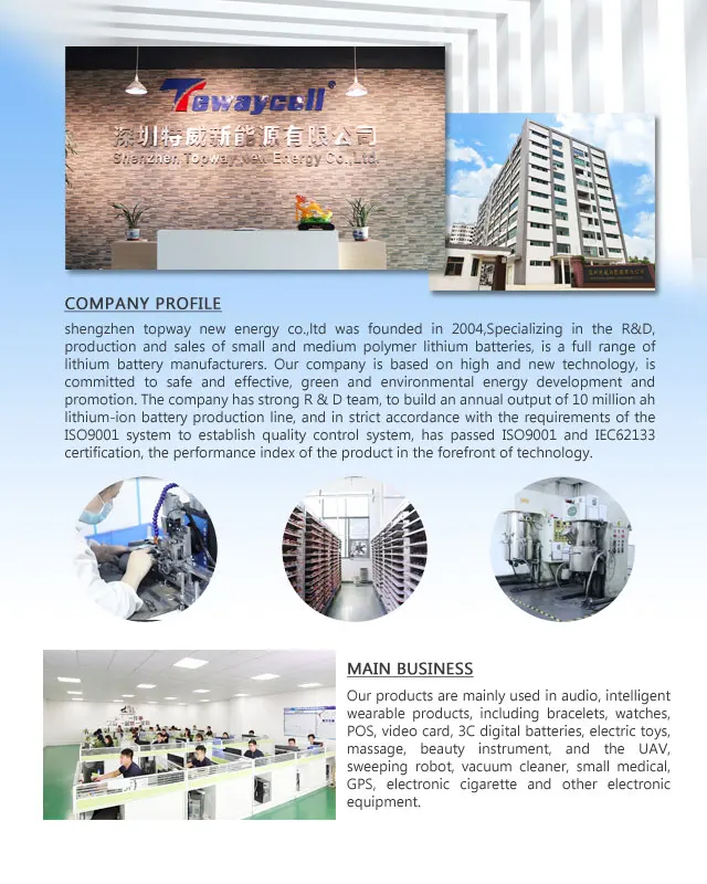Company Profile2