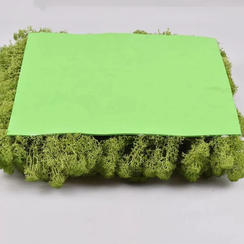 Real preserved moss  impurities fresh moss 30*30cm moss panel for  home wall decoration