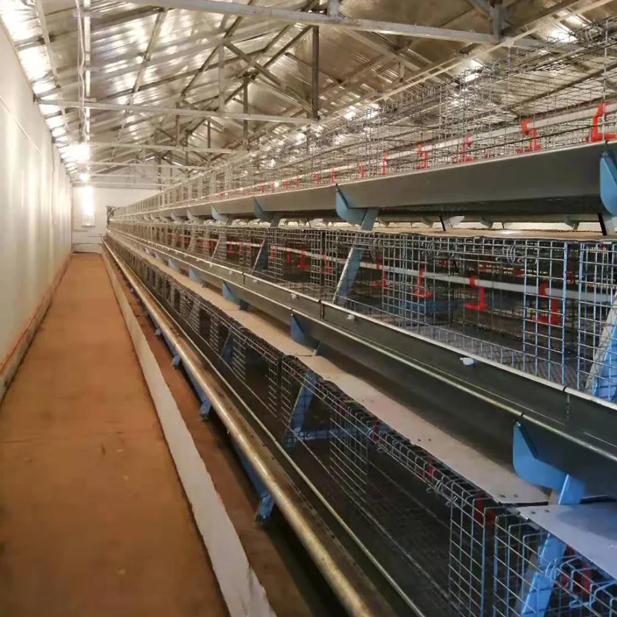 Птицефабрика оборудования горячего цинкования металлической Цыпленок Клетке для небольших курятник