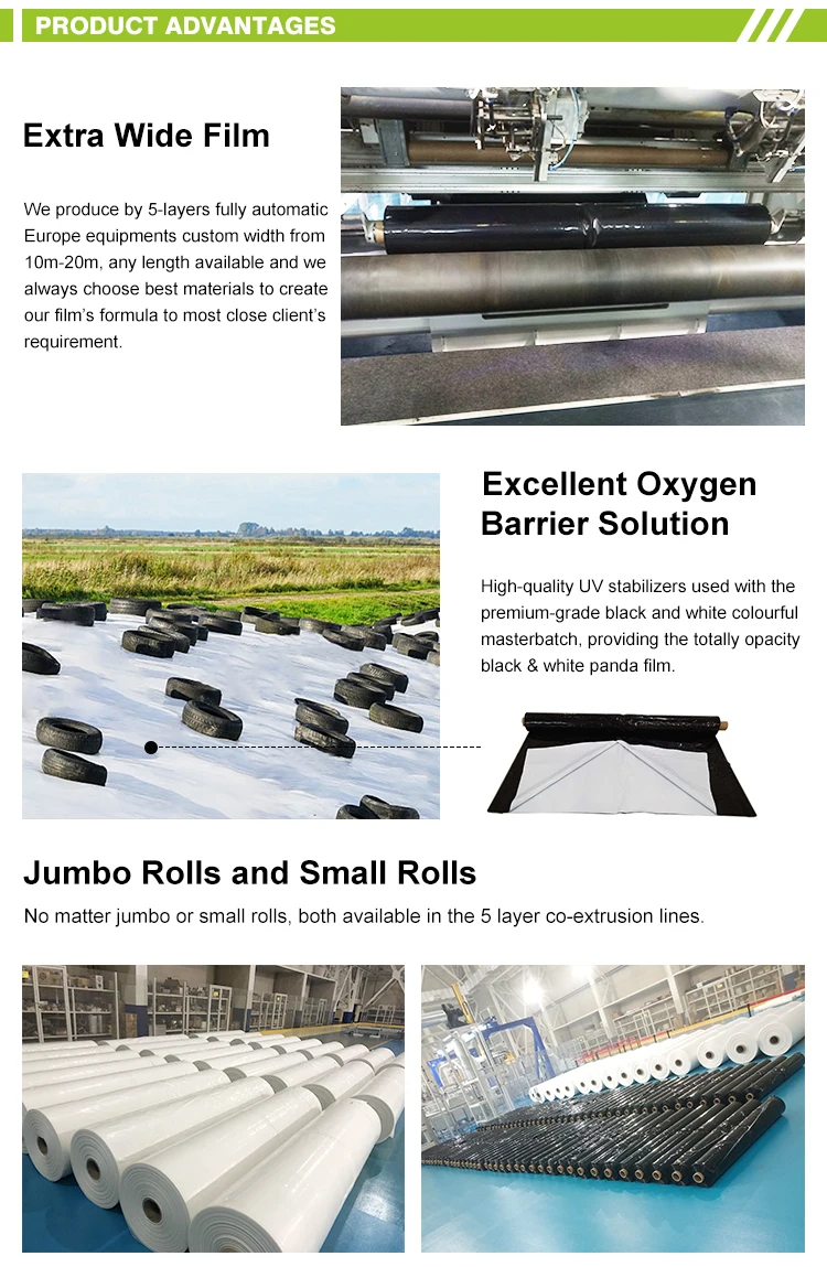 Agricultural 4 years UV Protection Black White Panda Film Greenhouse Film