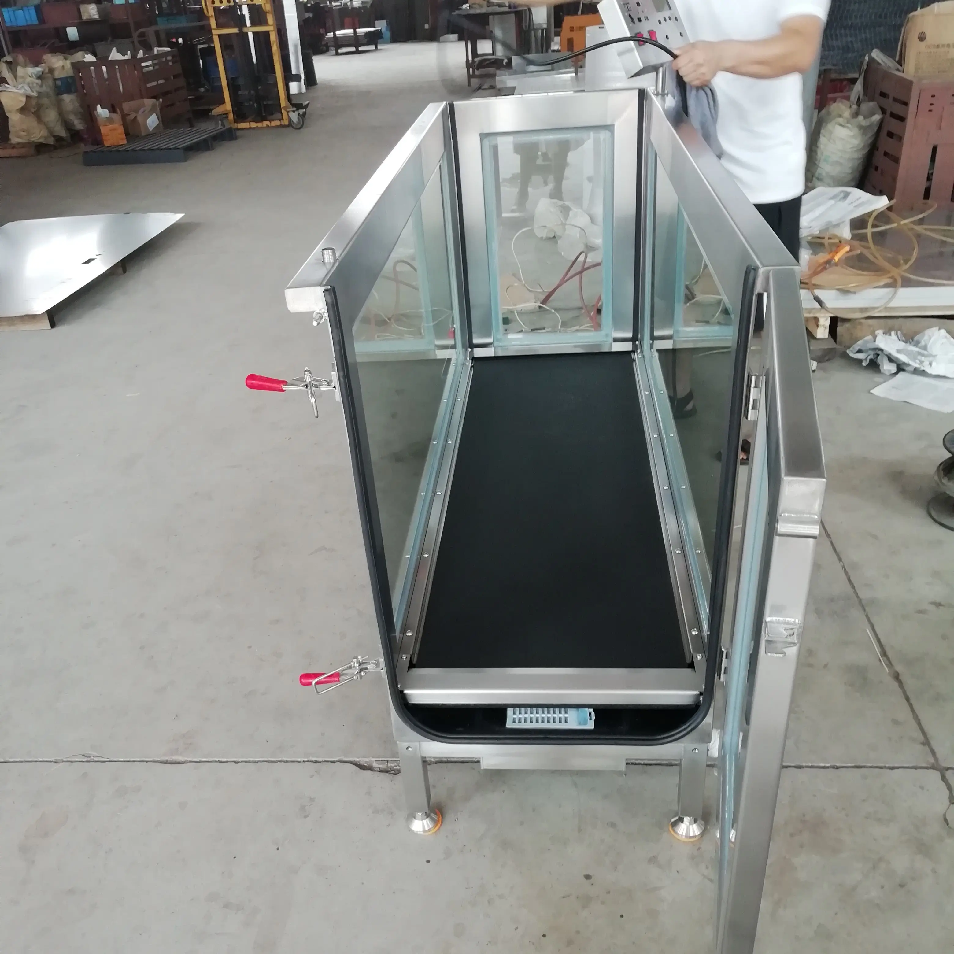 Спортивная беговая дорожка для собак