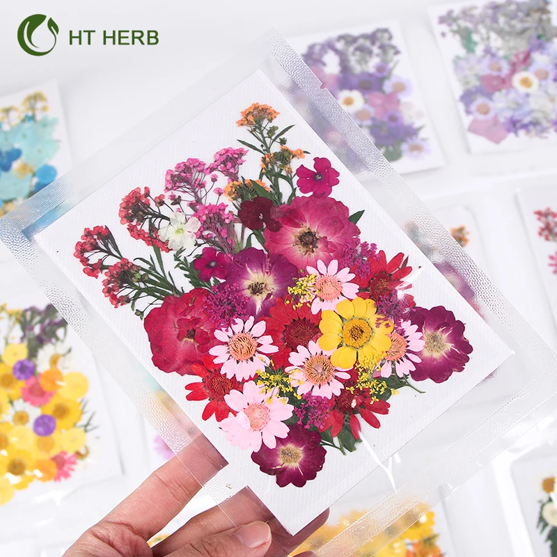 Hot Selling Dried Flowers Resin Jewelry Dry Flowers Plants Dried Pressed Flowers Natural for Resin Candle Material