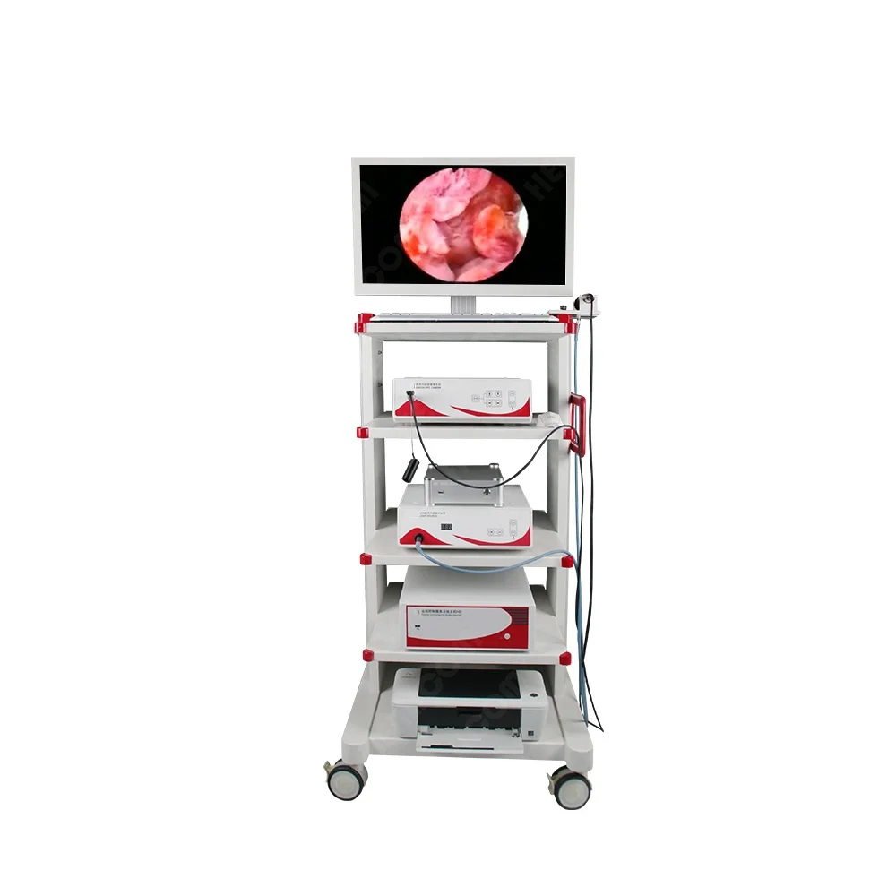 Professional Hospital Use HHE-7000 Medical Surgical Hysteroscope Set Video Endoscope Camera