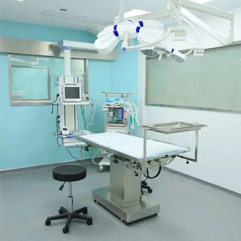 Quality Multifunction Treating Veterinary Operation Table Electric Lifting Pet Grooming Table