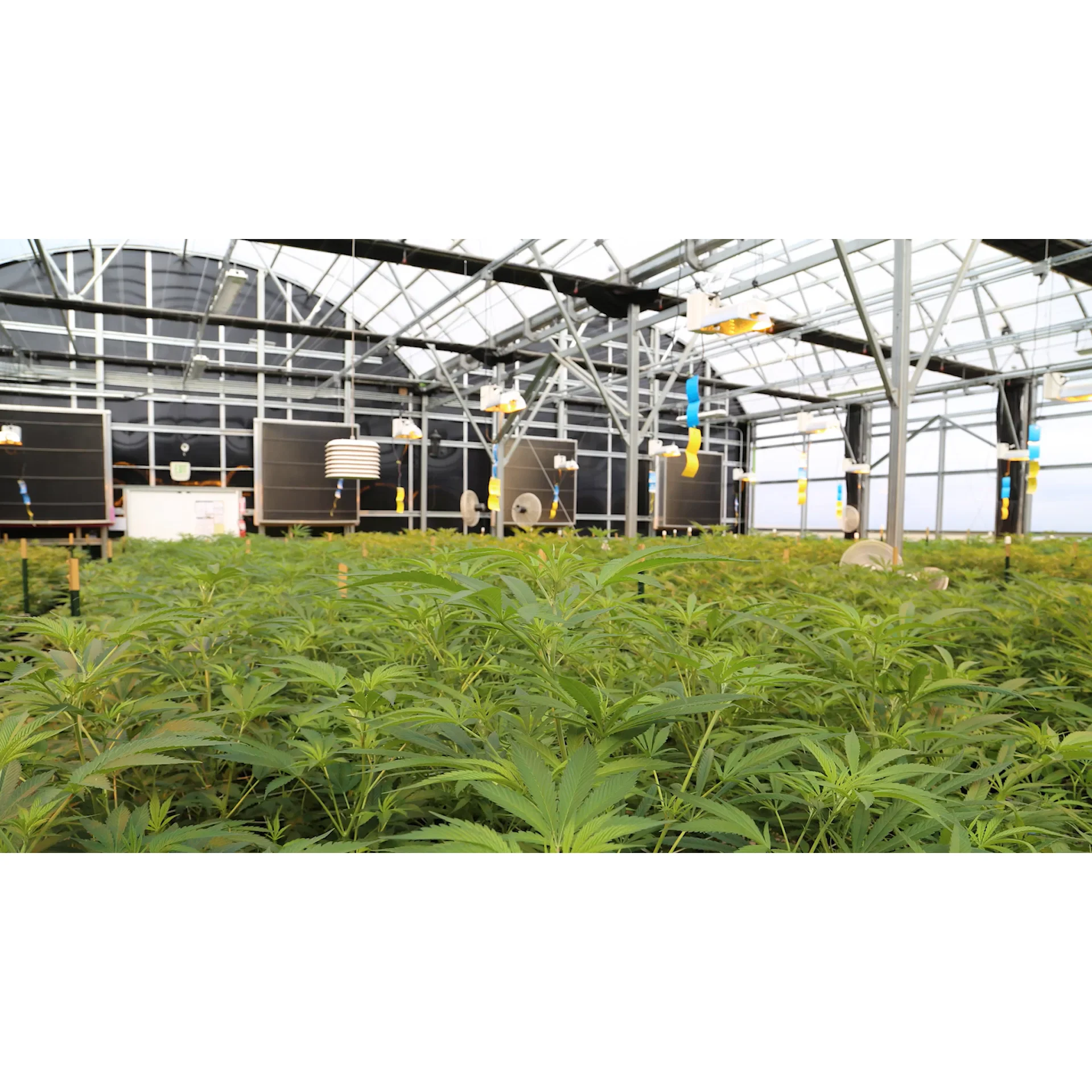 Maxpower Light Deprivation Blackout System Light Dep Greenhouse Greenhouse Blackout Kit