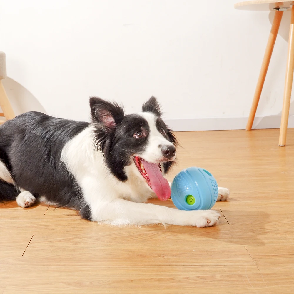Vking ECO Friendly TPR Interactive Outdoor Activity Ball Squeak Dog Toys