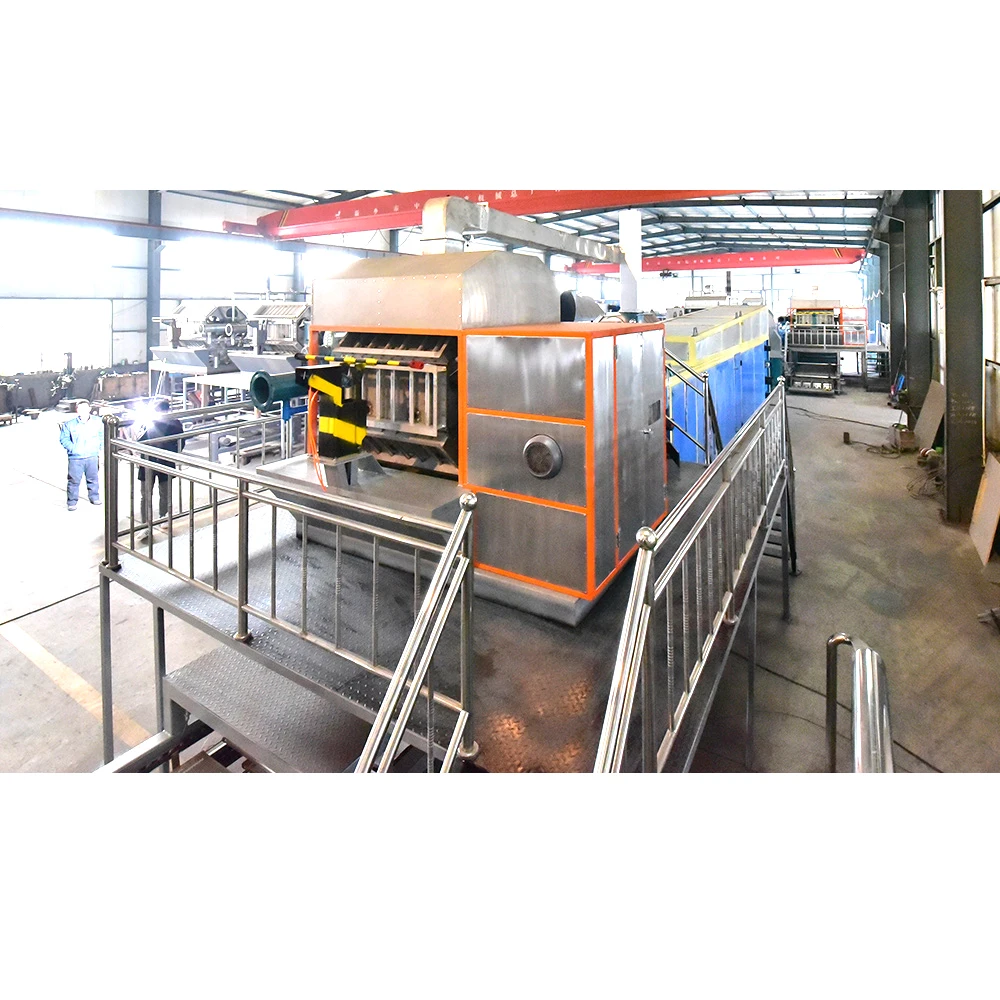 
5000 pcs 30 pack egg tray Molding Machine Processing Type and production line 