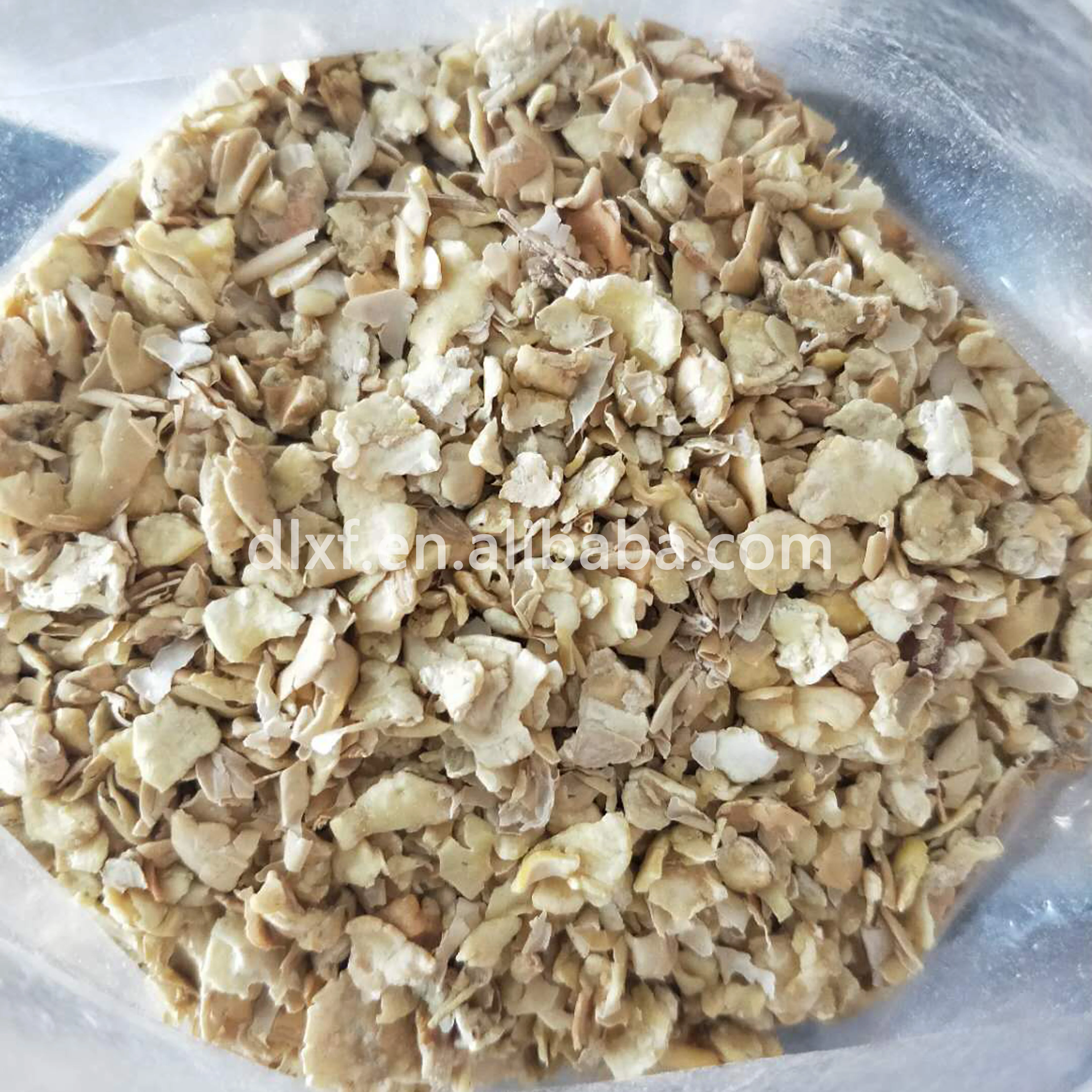 Corn Bran Corn Gluten Feed for Cows Yellow Bag Pig Dog MIDI Golden Chicken HEN Blocks Packaging Origin Type Free Grade Protein