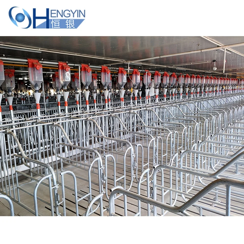 2024 new product  pig gestation pen hot sell sow gestation cages for pig high burden farming equipment