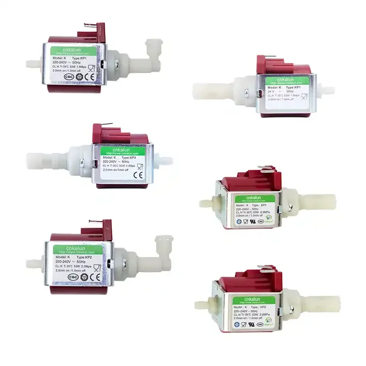 High Quality 24V 110V 120V 220V Electric Mini Water Pump Micro Solenoid Pump for Steam Mop Steam Cleaner