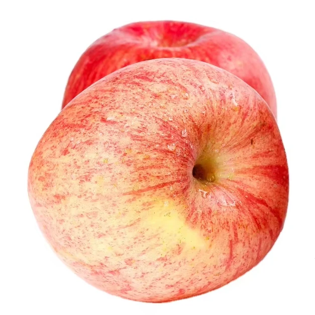 Best price  China export high quality fresh apple