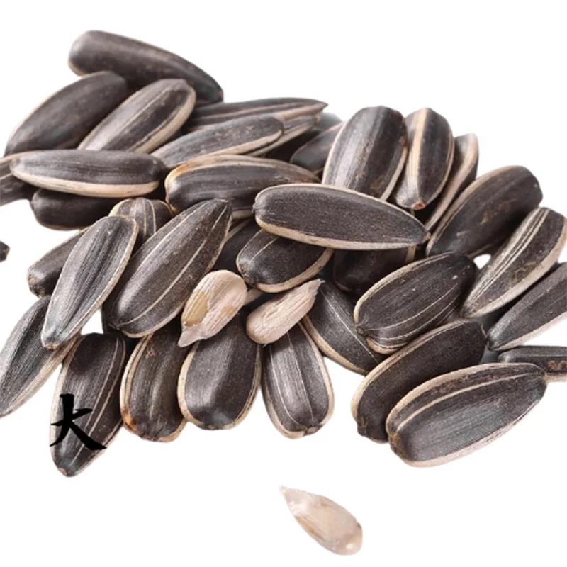 Organic Sunflower Seeds Black Wholesale Best Quality Chinese Sunflower Kernel with Market Price