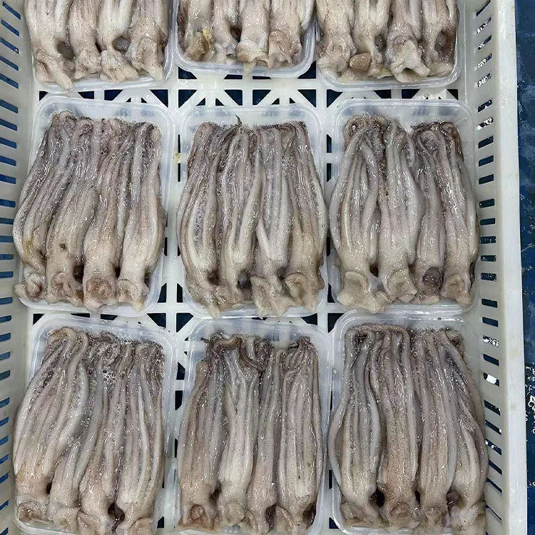Frozen Dosidicus illex boston Squid Tentacle
