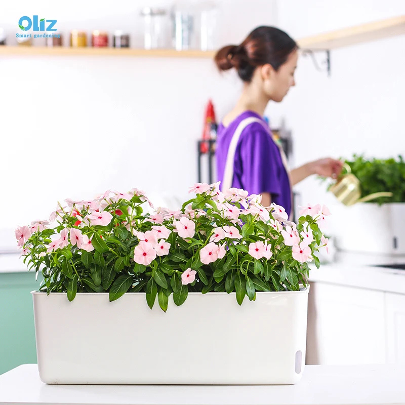 Пластиковые прямоугольные цветочные горшки Oliz горшок для домашнего сада самополива овощей растений 1 квадратный метр балкон сад