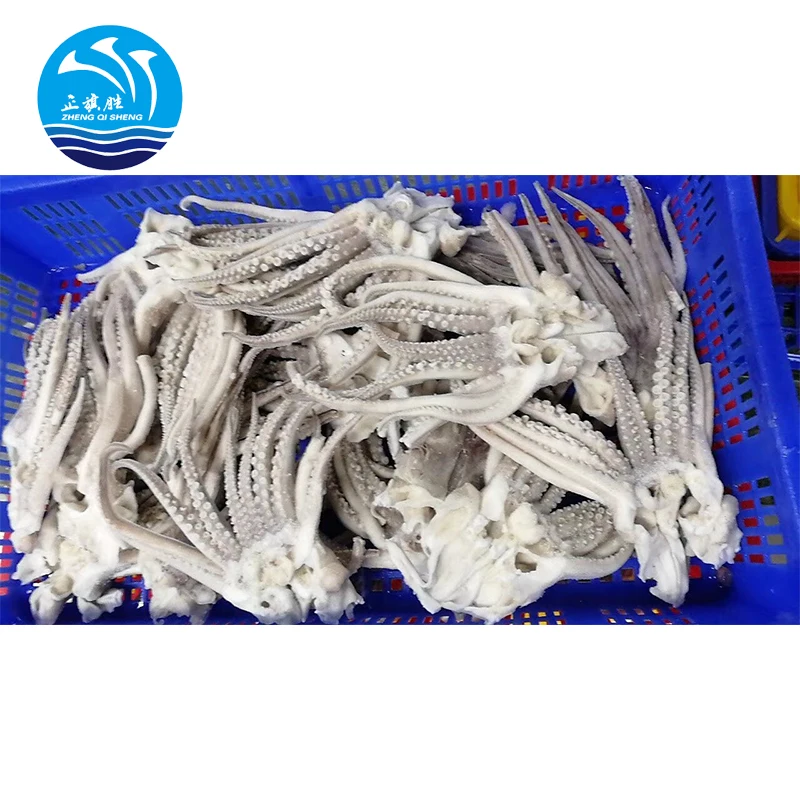 Good Price Frozen Peru Squid Tentacle Giant Squid Head