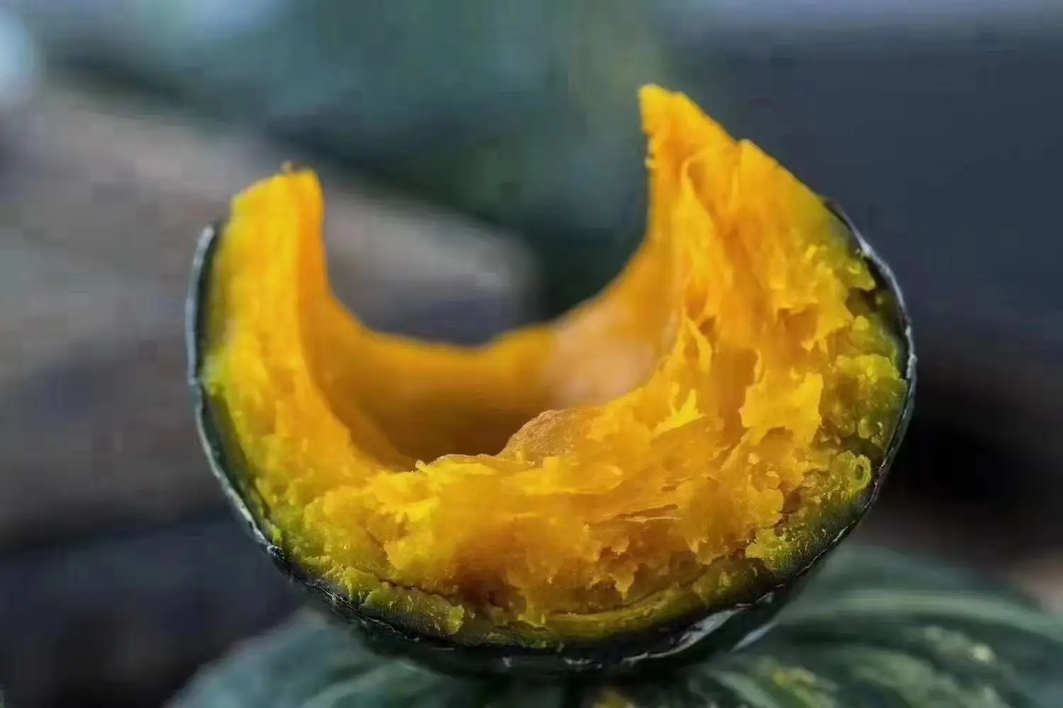 fresh pumpkin vegetables China green mini pumpkin  green organic vegetables