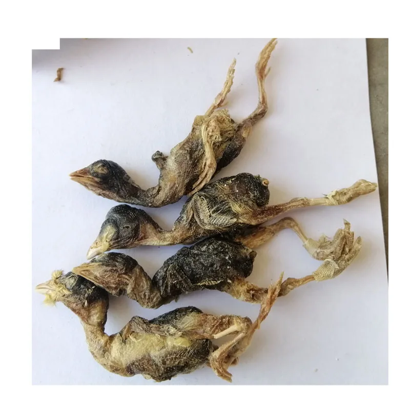 Freeze Dry Quail Pet Food Snack Foods Dog Cat Natural Freeze Dry Quail