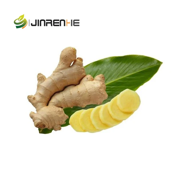 
Producing area direct selling healthy pure natural young ginger 