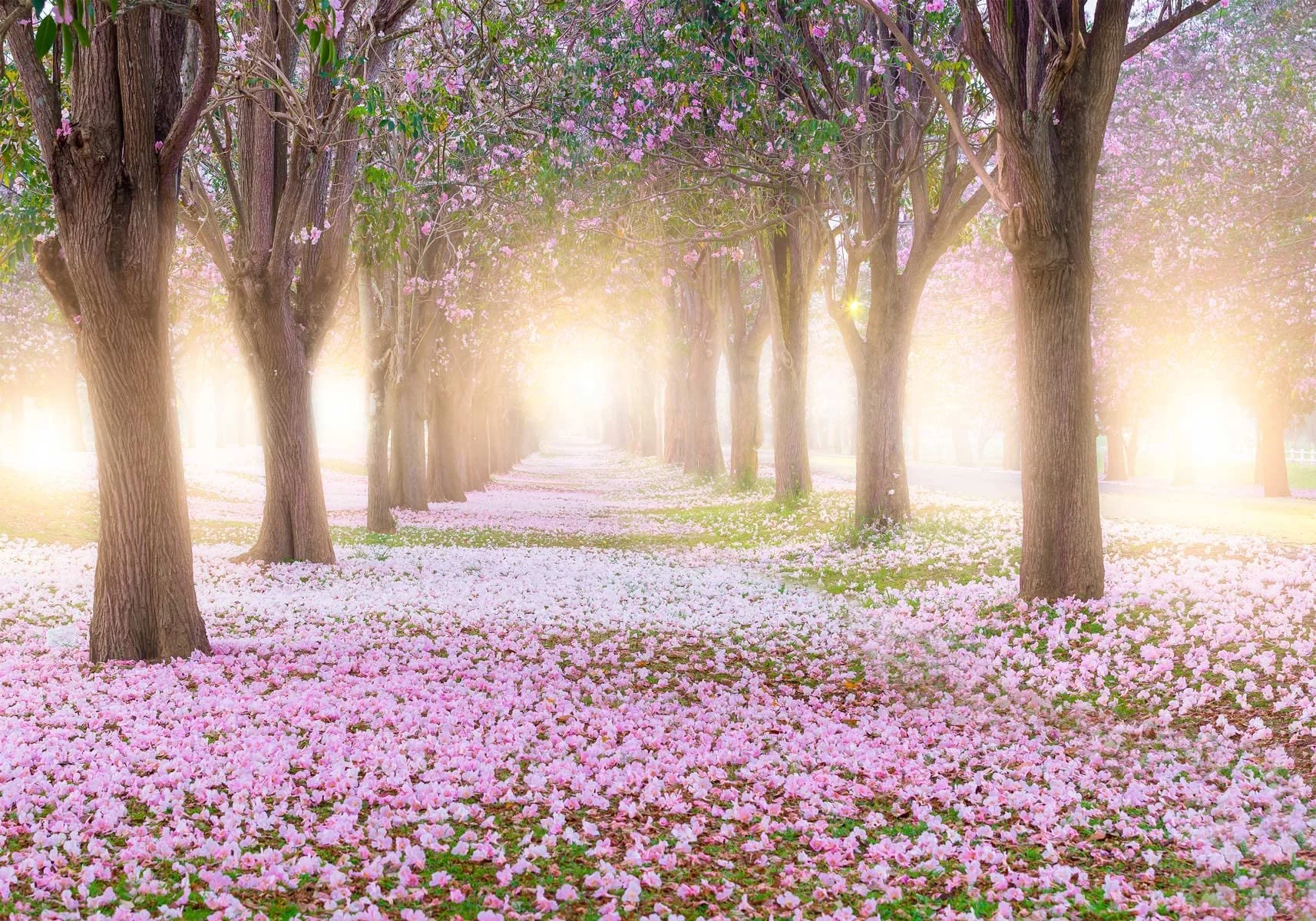 3d wallpaper purple garden flower  Forest Wall Mural Tree for living room bedroom