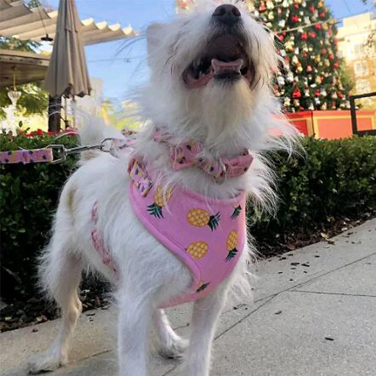 Cute Reversible Pet Dog Body Harness Personalized Adjustable Dog Harness Set Luxury Harness Dog