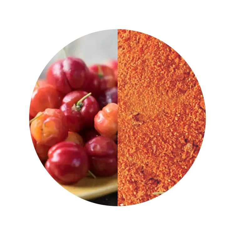 Superior Quality Amazon Rainforest Herb Health Care Products Ingredient Natural Herb Extract Powder