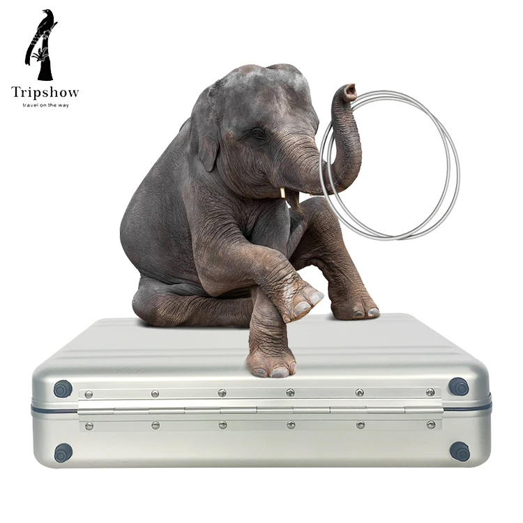 Portable Tool Custom Hard Silver Aluminum Briefcase Attache Cases Men Laptop Metal Aluminum tool case