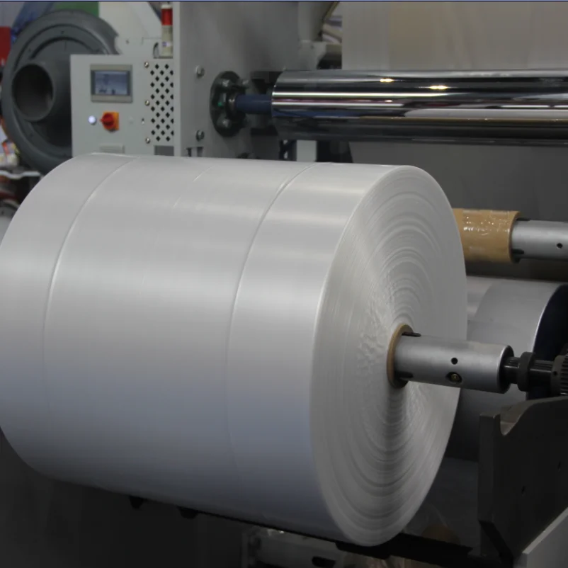 Hot Sale Two Layer Plastic Film Extruder Hdpe Ldpe Delivery Bag Courier Bag Film Blowing Machine