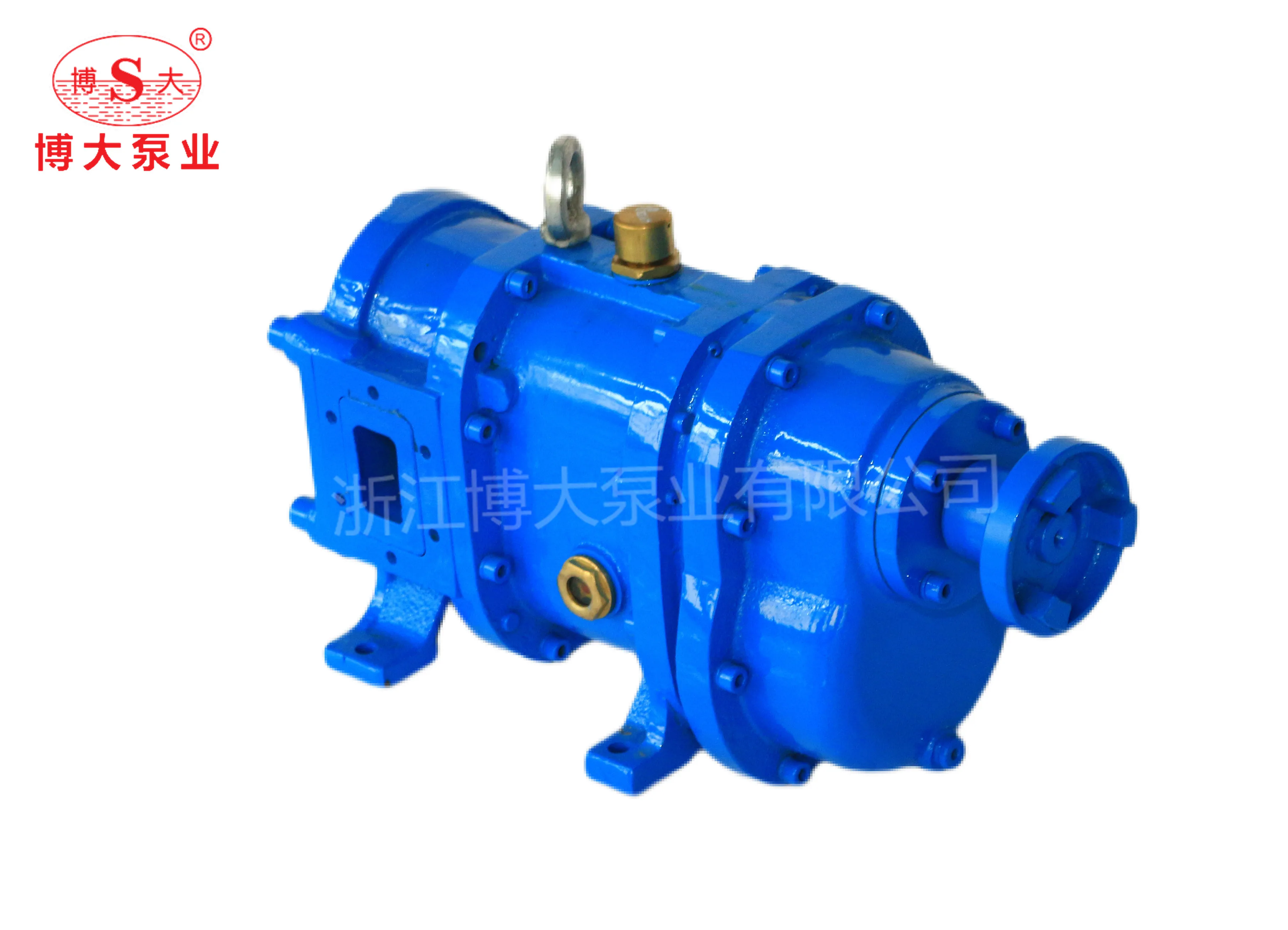 High Pressure Anti-corrosion Chemical Liquid Medium Transfer Rotor Pump