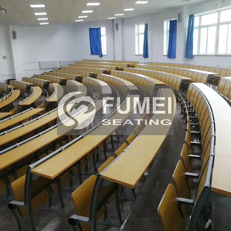 FM-305 University College School Lecture Hall Chair And Desk