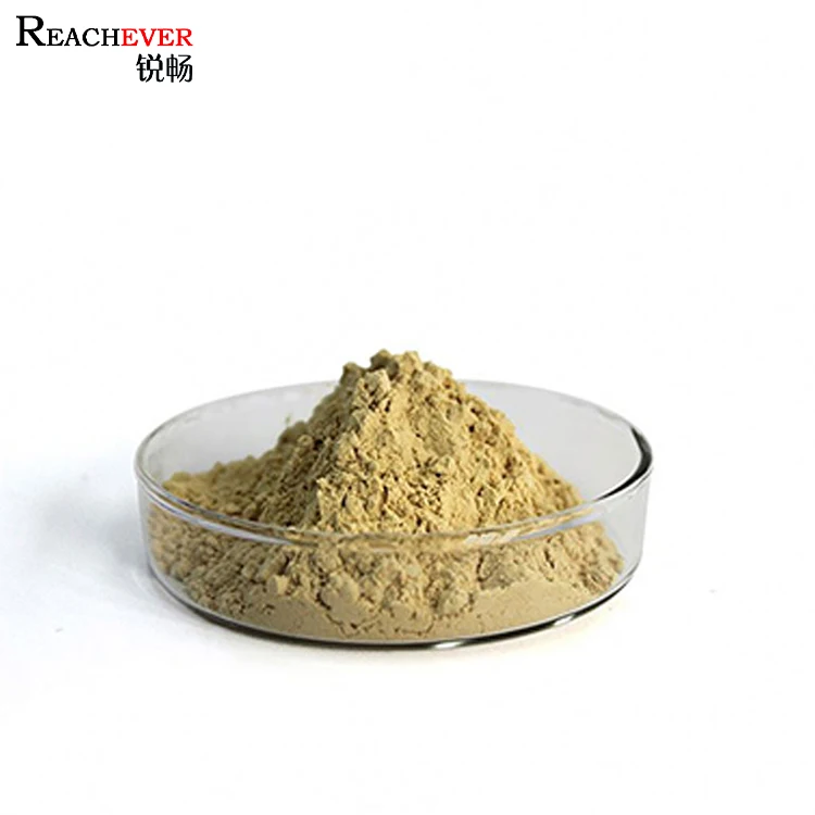 
Wholesale Ginseng Root Extract China Natural Ginsenoside Red Ginseng Root Powder for Health Care 