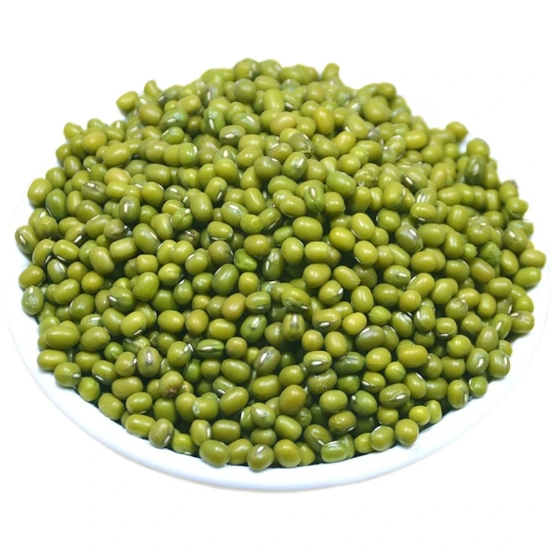  Wholesale Good Quality Market Price Small Green Mung Beans Export