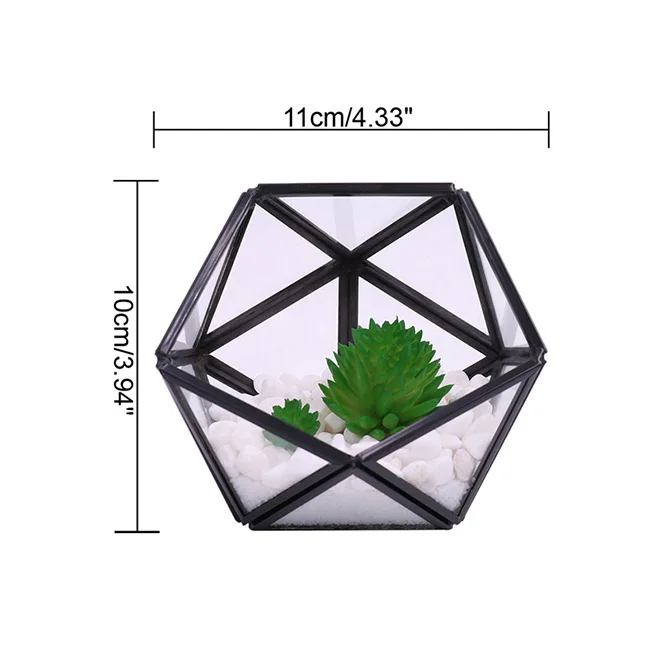 Hot Indoor Succulent Fern Moss Air Plants Display Box Decor Table Window Sill Balcony for Succulent Plant Miniature Fairy Garden