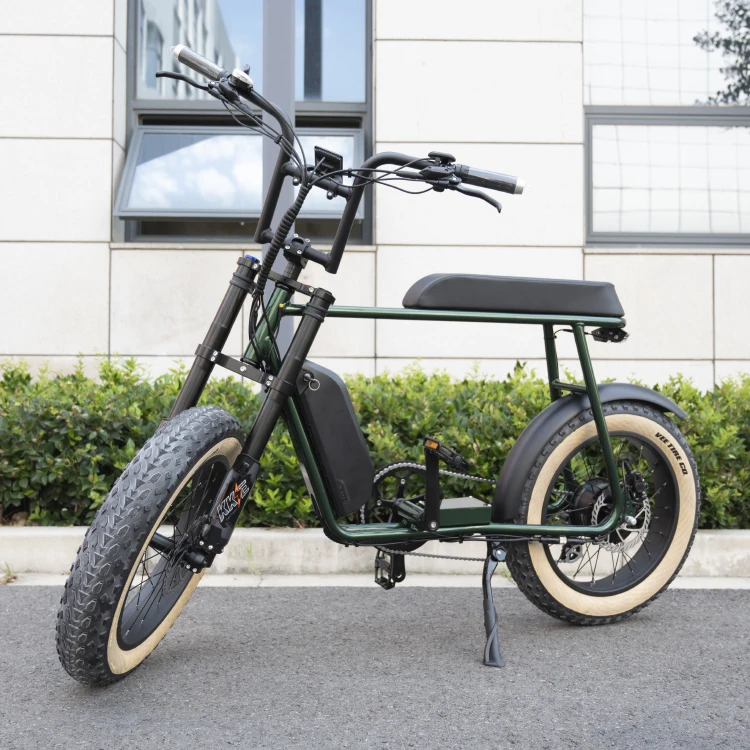 2024 Mario 48v 750w Bafang Hub Motor Electric Bike With Front Suspension Fork