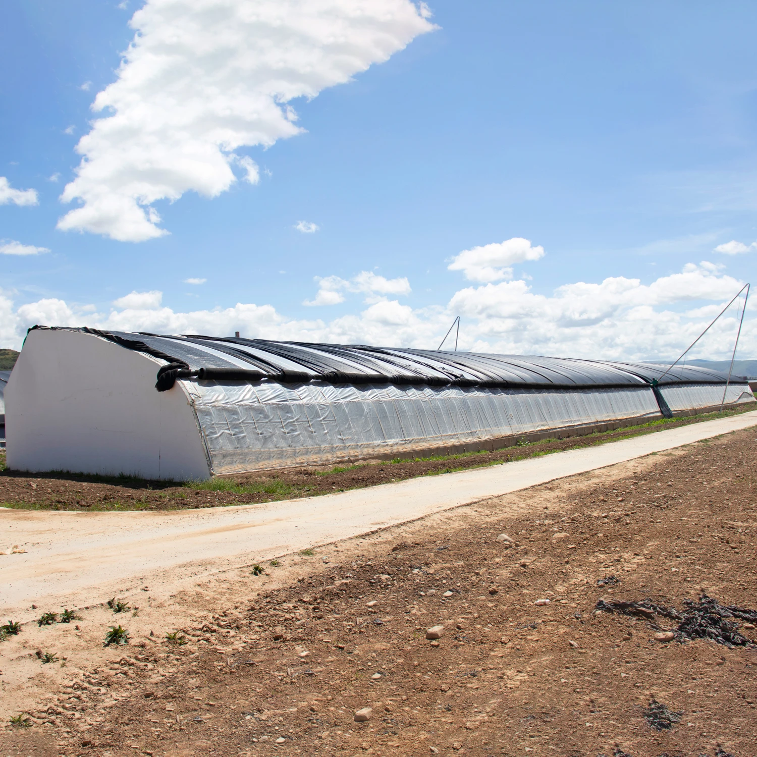 Single-Span Agricultural Green house Passive Solar Greenhouse Low Cost Passive in-solar greenhouses