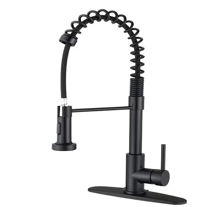 Kitchen Faucet with Pull Down Sprayer Brushed Nickel Stainless Steel Single Handle Pull Out