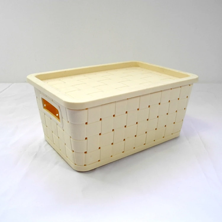 New Popularity Hot Sale plastic PP rattan handle pharmacy Kitchen Modern Portable Storage Basket with lid