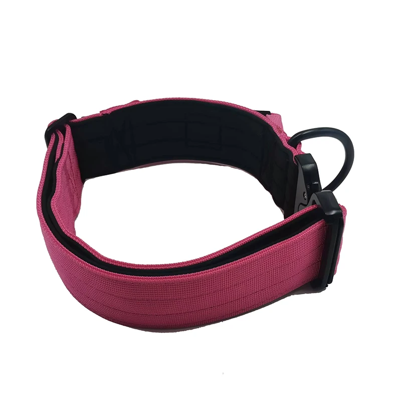 2023 Hot Selling 2 Inches Custom Colors Cobra Buckle Dog Training Neoprene Padded Nylon Dog Collars
