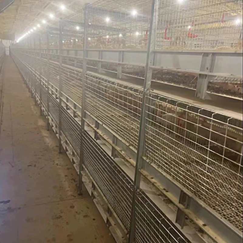 H type chicken cage broiler raising cages for keeping chicken layers